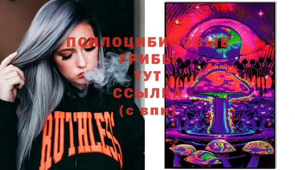 кокс Ельня