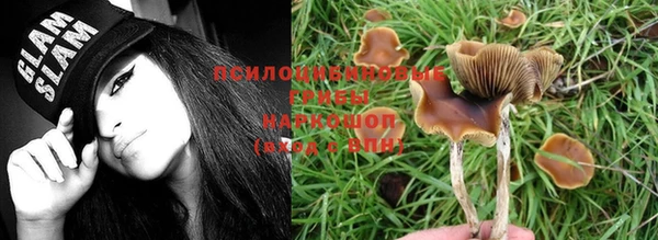 мяу мяу мука Касимов