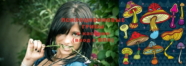 герыч Аркадак