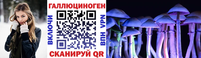 дарнет шоп  гидра как войти  Галлюциногенные грибы Psilocybe  Нарткала 
