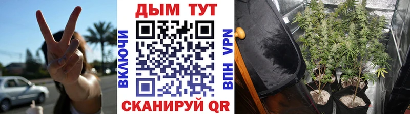 mega зеркало  Нарткала  Марихуана Amnesia 